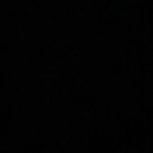 Meet your Posher, Rita